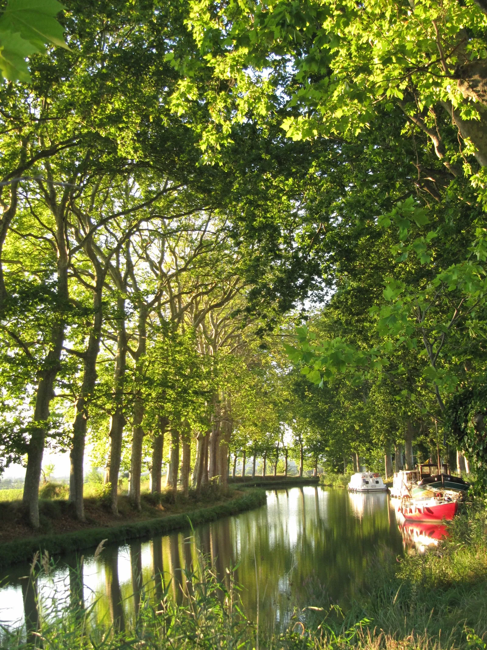 Espaces verts de l'Est toulousain, Canal du Midi, forêts et parcs urbains