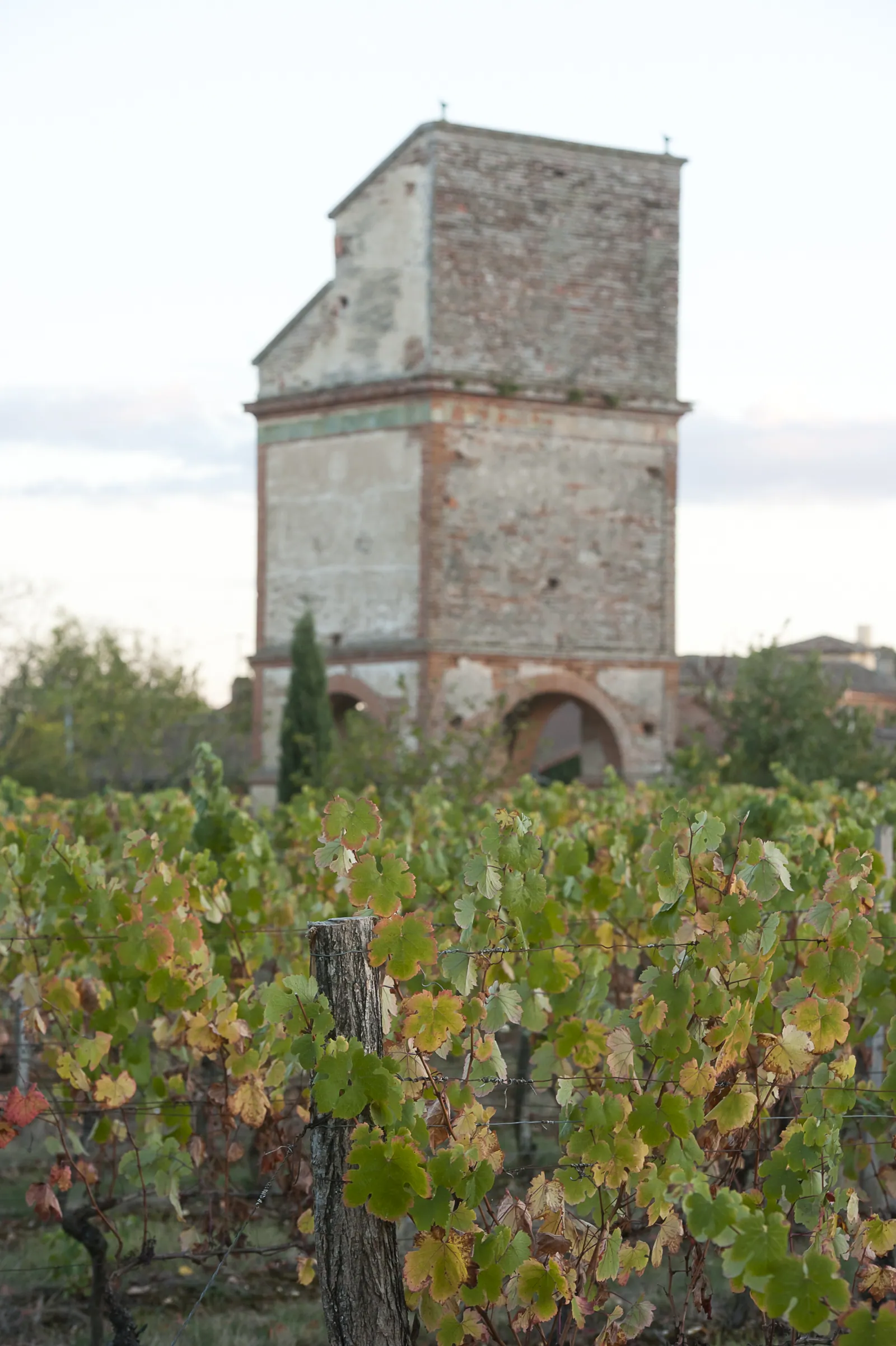 Vignoble AOP de Fronton et centre historique en brique