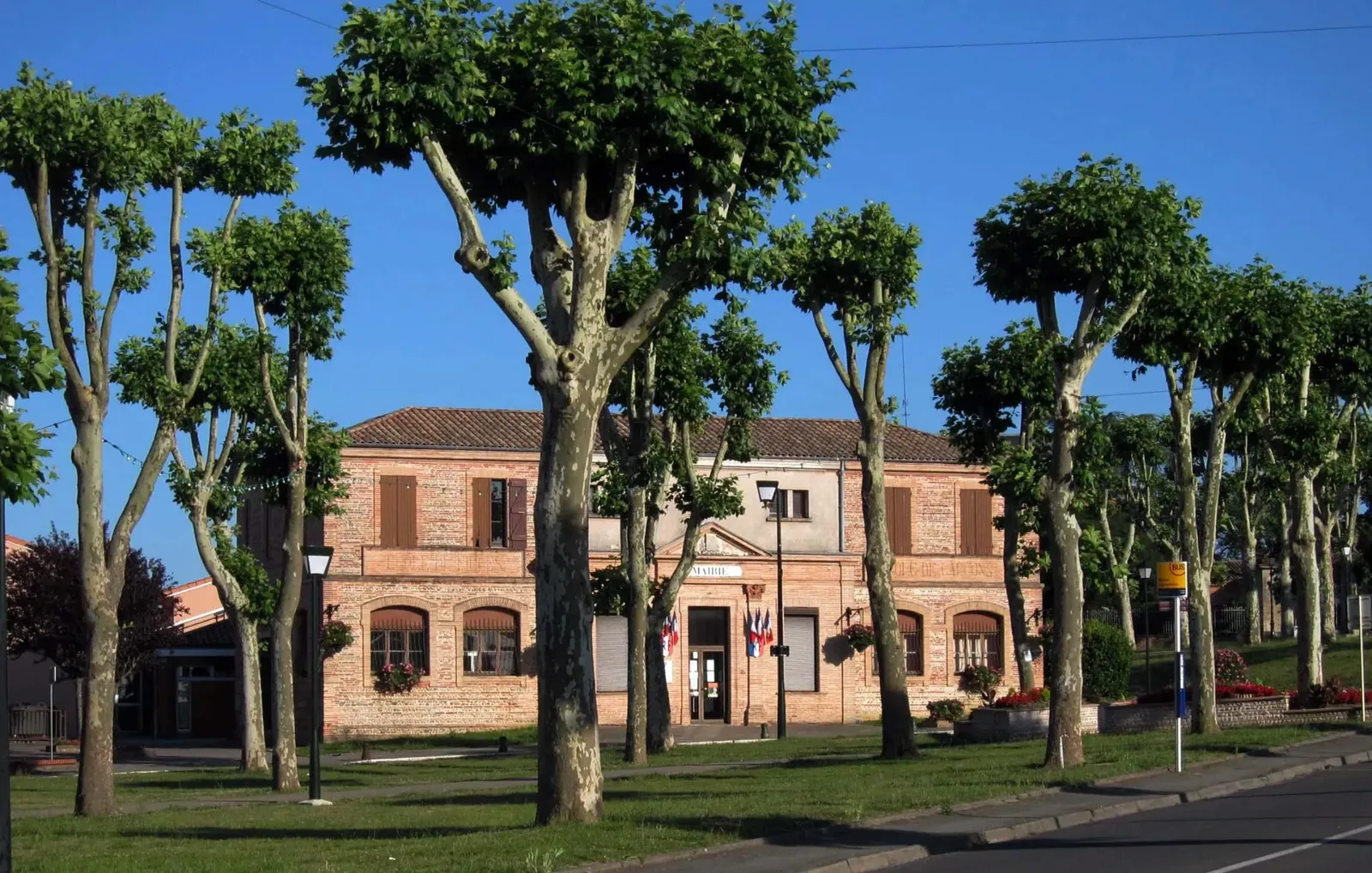 Mairie de Lapeyrouse-Fossat bordée de platanes